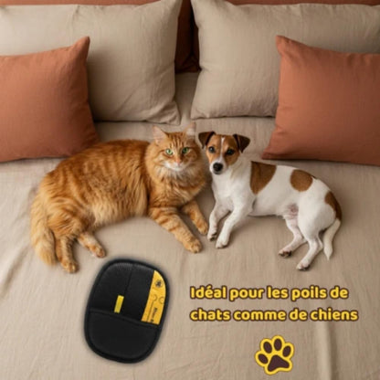 Gant de Nettoyage Double Face Premium